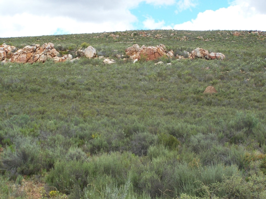 Commercial Property for Sale in Montagu Rural Western Cape